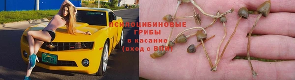 героин Алексин