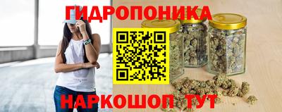сатива Котовск