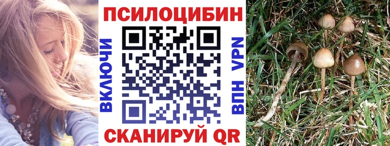 Галлюциногенные грибы мухоморы  Усть-Илимск 