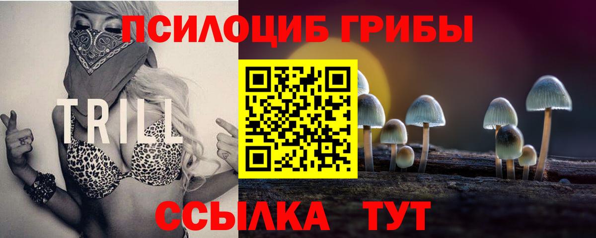 Галлюциногенные грибы GOLDEN TEACHER  Псилоцибиновые грибы Psilocybine cubensis  купить наркотик  Усть-Илимск  Вход с VPN 